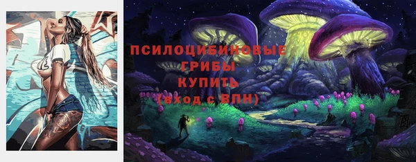 ешки Алексеевка
