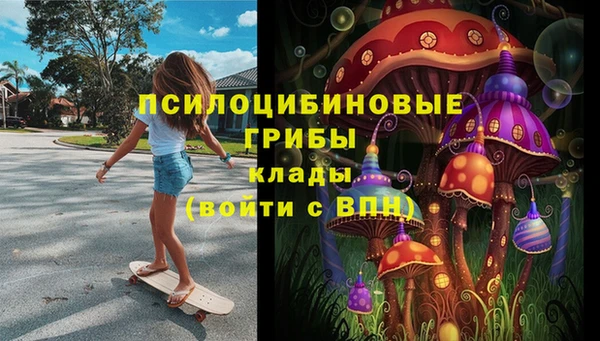 ешки Алексеевка